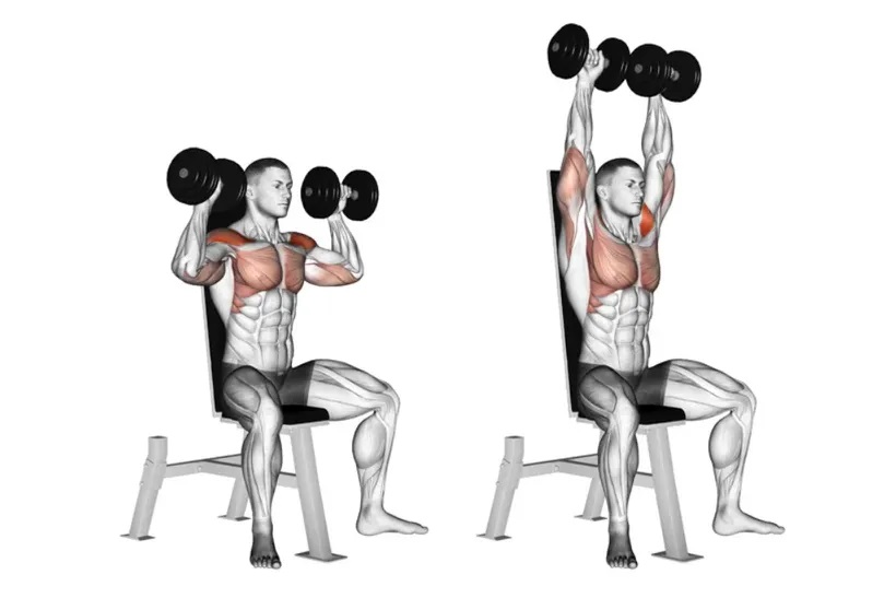 5 učinkovitih vježbi za široka i okrugla ramena!