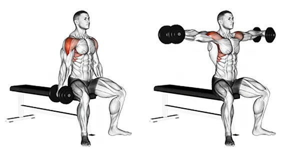 5 učinkovitih vježbi za široka i okrugla ramena!